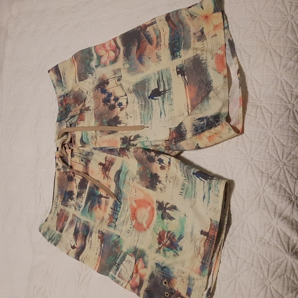 Eidon Mens Shorts